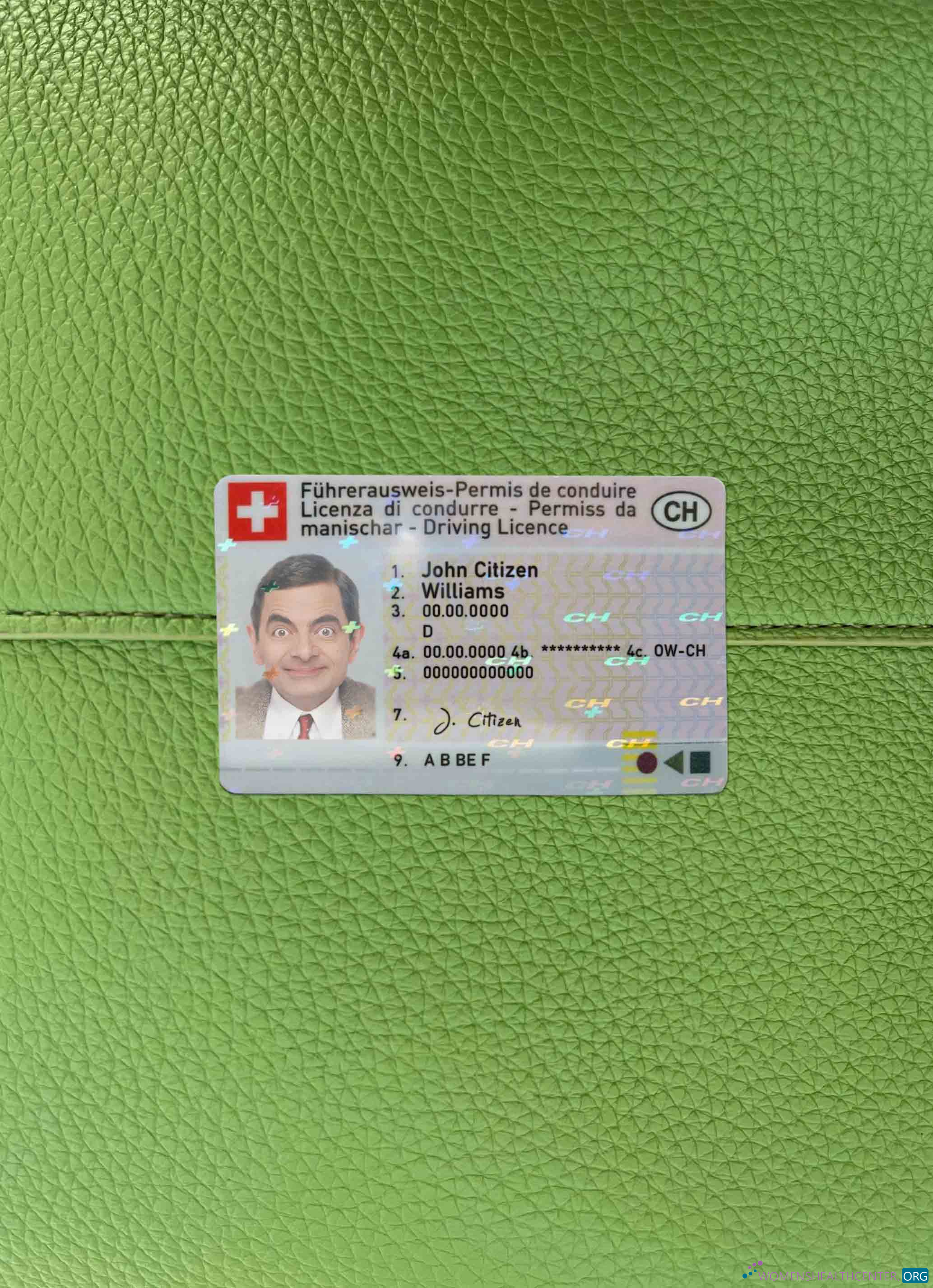 Download Switzerland DL photolook FRONT Photoshop template